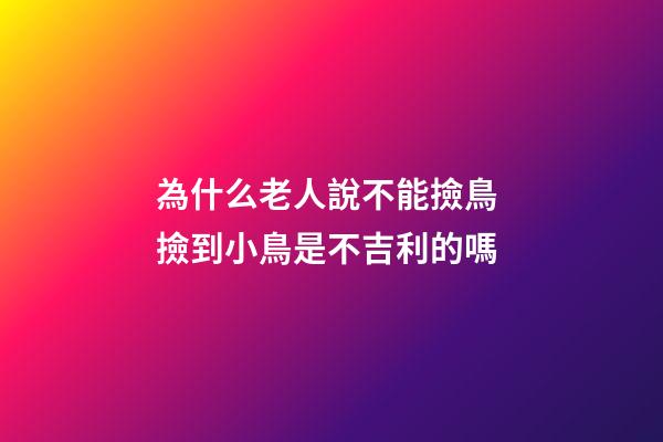 為什么老人說不能撿鳥 撿到小鳥是不吉利的嗎